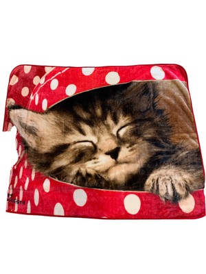 kitten throw blanket