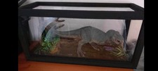 Dinosaurs Diorama