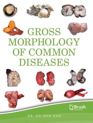 Gross Morphology of Common Diseases - hardcover Gao, Zu-hua
