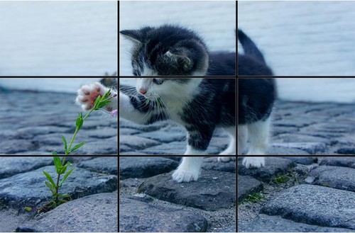 Goldener Schnitt, Fibonacci & Drittelregel Zusammensetzung Werkzeug Kreditkartengröße... - Bild 4 von 5