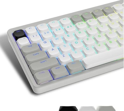 Low Profile Keycaps - Shine Through Keycaps 60 65 75 100 Percent, Keyboard Ke...