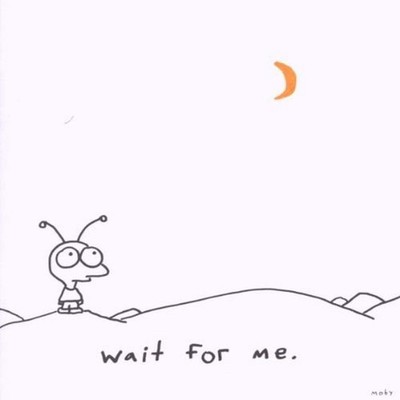 Moby Wait for Me (CD)