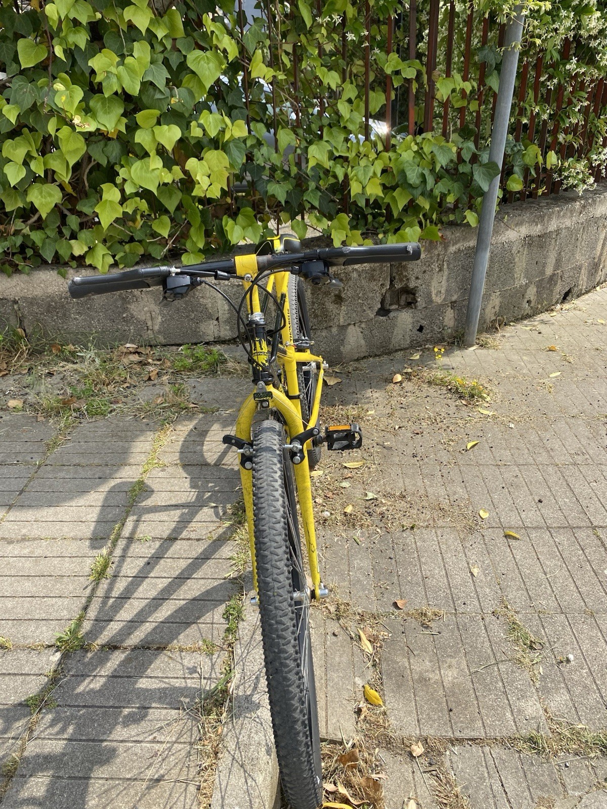 Foto 2 di 9