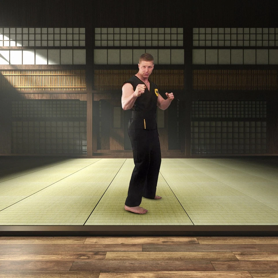 Disfraz Karate Niño Cobra Kai Adulto Estándar Foto 4 de 4