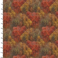 Whitetail Country Forest Texture Multi Cotton Fabric