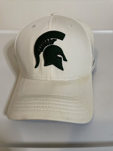 Nike Mens Michigan State White Dri Fit 