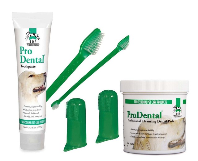 Pet Dental Care Kit Dog Toothbrushes Toothpaste Wipes Oral Hygiene 6