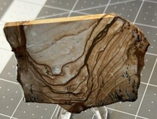 Biggs Picture Jasper polished, old stock display piece
