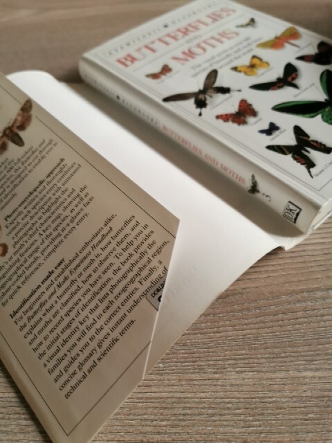 Bild 2 von 5