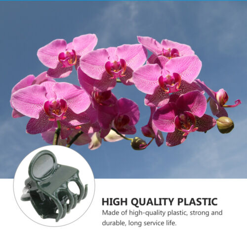 100 Pcs Phalaenopsis Clip Orchid Flower Greenhouse Trellis Clips - Picture 4 of 12