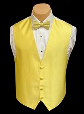 Men's Yellow Tuxedo Vest  Tie Bow or Long Formal Wedding Groom Prom Cruise