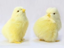 2pcs Baby Chicken Chick 3 Inch Stuffed Animal Plush Toys Toddler Doll Kids Gifts