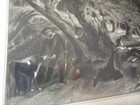 Picture 2 of 9