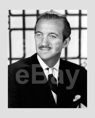 David Niven 16 x 12 Zoll Foto Poster Print Mattem Fotograf   Einzelstück