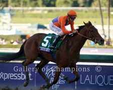 Beholder 2013 Breeders' Cup Distaff Photo 8" x 10 - 24" x 30" 