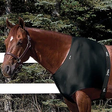 Toklat Jammies Designer Shoulder Guard