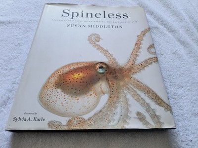 Spineless Portraits of Marine Invertebrates Susan Middleton Ocean Photography