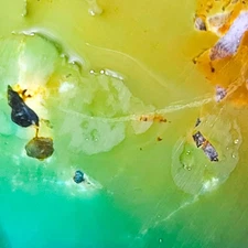 GS1070 Polychrome Hardy Pit rough turquoise 53.7 gr, lapidary, cabbing