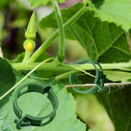 Winmany 100PCS Plant Support Garden Clips Tomato Clips  Assorted colors