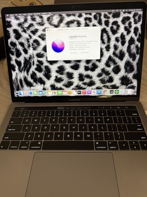 Apple MacBook Pro Retina 13-inch 2016 i5 8GB 256GB SSD Silver macOS Monterey