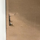 Bild 12 von 12