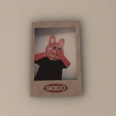 Stray Kids 1st Lovestay SKZ-X SKZOO Pre-Order Polaroid Photocard Changbin