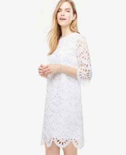Summer White Ann Taylor Scallop Eyelet Shift Dress Bridal Wedding - Size 4 - NWT