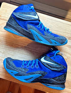 Lebron Zoom Soldier 8 | eBay