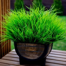 Artificial Monkey Grass Outdoor Shrubs - 20 Bundles Fake Plants UV Resistant No