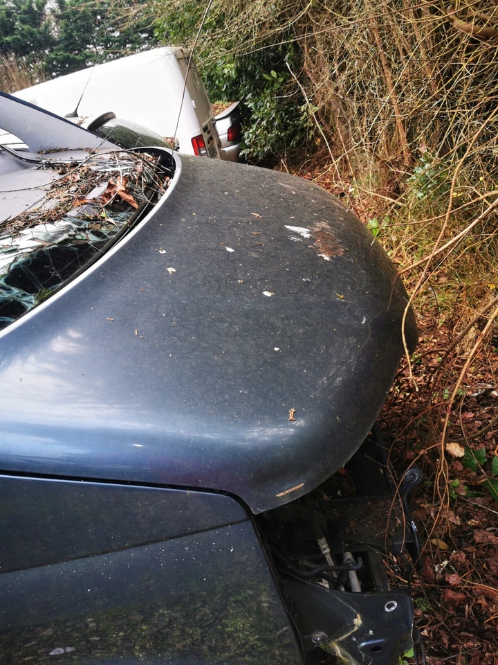 Capot Avant Transporter T5 2005-2014, Gris Vert. - Photo 1/1