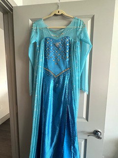 Frozen Elsa Blue Dress with Sheer Cape Halloween Costume women XS