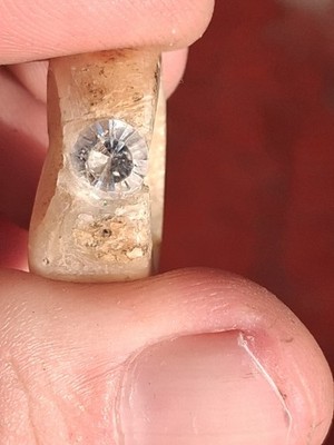 1 Carat Petalite In Deer Vertabrae Size 4.5 (2.7 Grams)