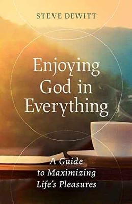 Enjoying God in Everything: A Guide to - Paperback, by DeWitt Steve - Very Good