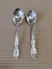 Lot Of 2 Rogers Brothers Spoons ~Free Shipping ~
