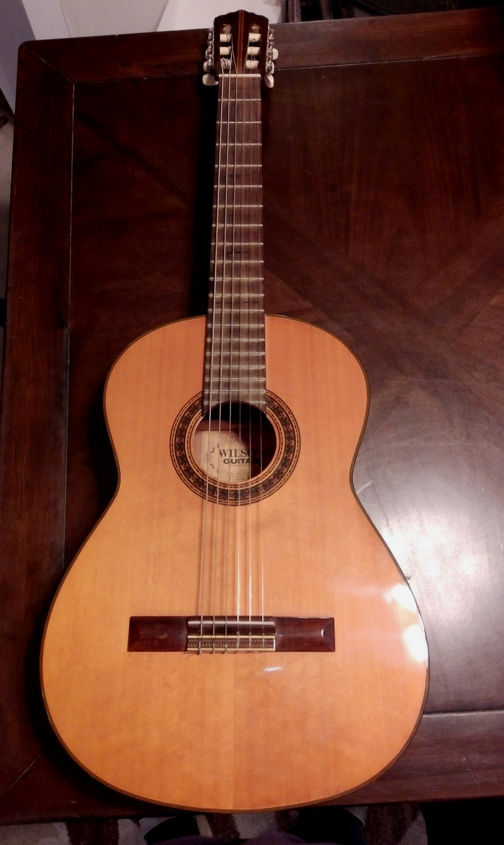 Vintage Wilson Acoustic Guitar WS55 by Shinano Musical Intruments