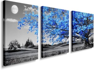 Leinwand Wandbilder 3 Stück Set 16x12 Zoll gerahmt modern Wohndeko Blumendruck