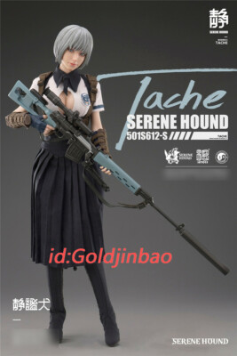1/6 Serene Hound Troop TACHE Figure by i8TOYS Action Figure Model