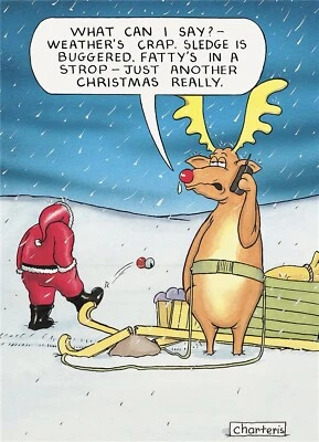 PAPERLINK Santa Christmas Card Weather's Crap Humour Joke Funny Open Male Female