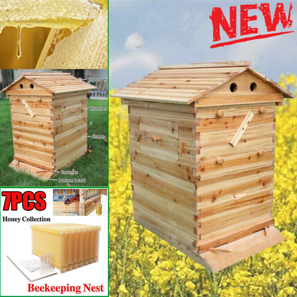 balanced beekeeping for everyone, natural beekeeping, top bar hive