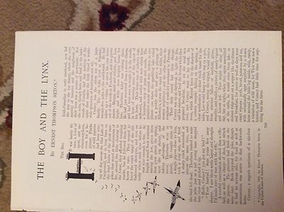 u2-2 ephemera 1905 geschichte der junge und der luchs ernest thompson seton 