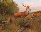 Art Giclee Printed Oil Painting Print Red Deer the Lookout Canvas