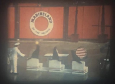  Marineland  (1962) 8mm Film Home Movie, CA, Whales, Dolphins, Fire Ring, Tricks