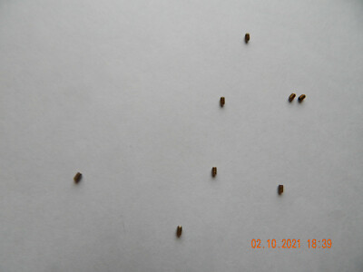 BRASS SOCKET SET SCREWS  2/56 x 1/8''  CUP POINT 10 PCS.NEW
