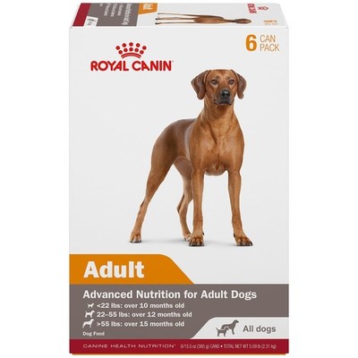 Royal Canin Canine Health Nutrition Adult In Gel Dog 13.5 oz (6 Pack), brown