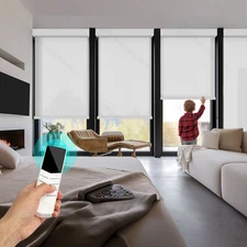 Changshade Custom Size Light Filtering Smart Roller Blind Manual Motorized Blind