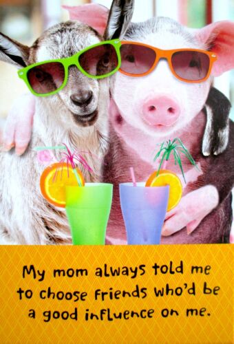 Hallmark Funny Friendship Greeting Card