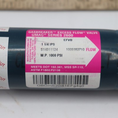 Continental Industrial Gas Breaker Excess Flow Valve 1000PSI 1-1/4'' IPS X 28''