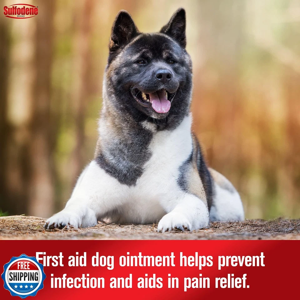 Sulfodene Dog Wound Care 3-Way Ointment, Relieves Pain and Prevents Infection - Image 3 of 4