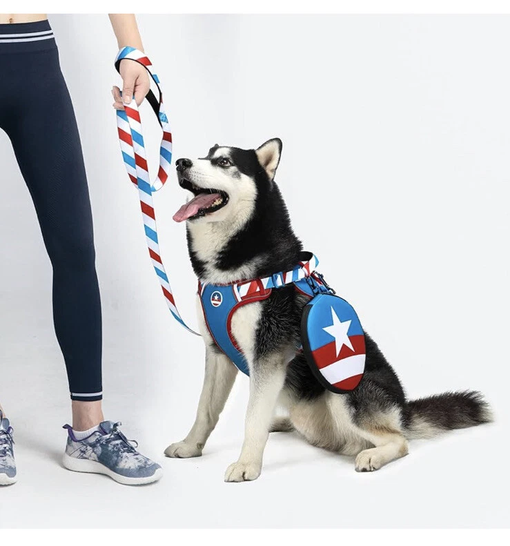 Dog Harness And Leash Set With Bonus Frisbee Toy!!! Brand New Must See!!! Size M Dog Harness And Leash Set With Bonus Frisbee Toy!!! Brand New Must See!!! Size M