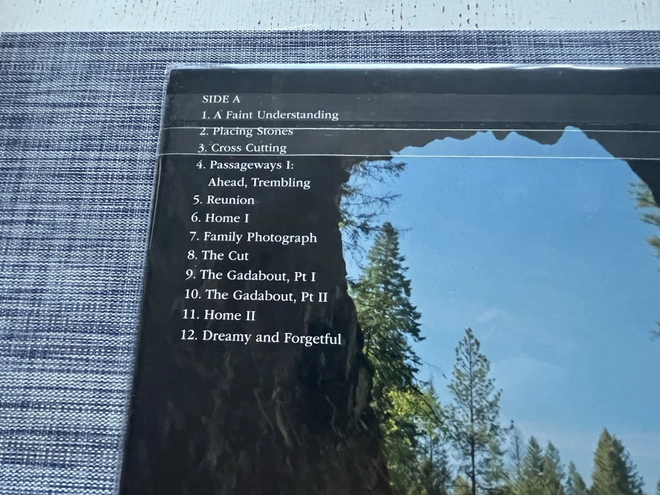 TRAIN DREAMS soundtrack Nick Cave SEALED color vinyl LP Fyc Netflix - Image 4 of 4